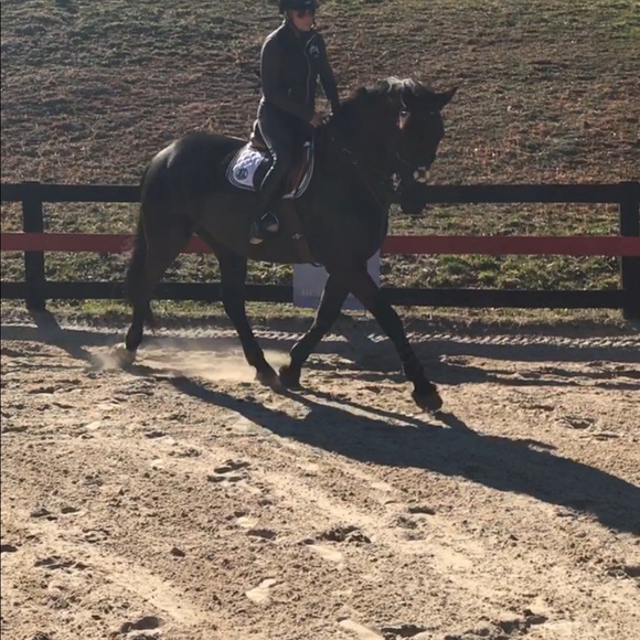 Meet your Posher, Jennifer - Picture 4 of 4